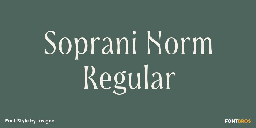 Soprani Norm Regular Font Poster #1