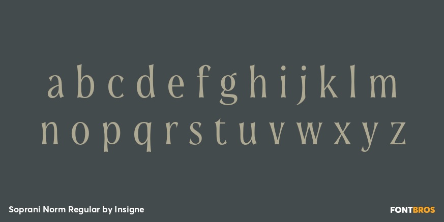 Soprani Norm Regular Font Poster #1