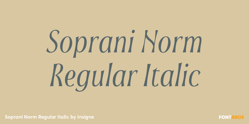 Soprani Norm Regular Italic Font Poster #1