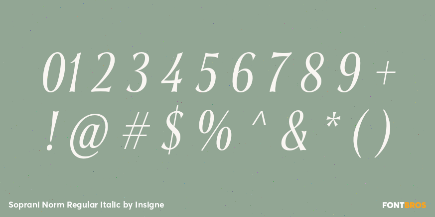 Soprani Norm Regular Italic Font Poster #4