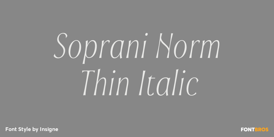 Soprani Norm Thin Italic Poster