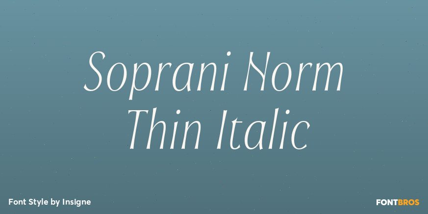 Soprani Norm Thin Italic Poster