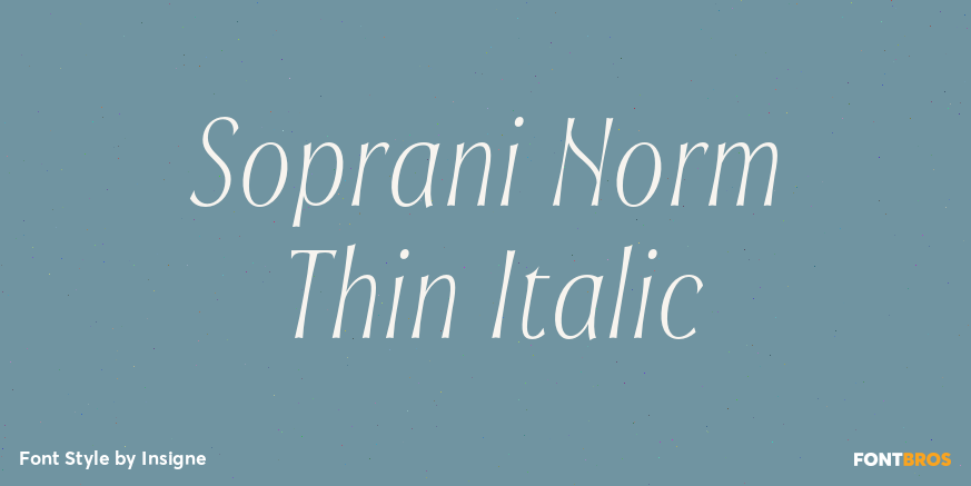 Soprani Norm Thin Italic Poster
