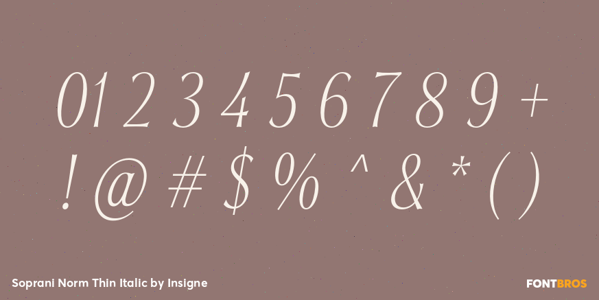 Soprani Norm Thin Italic Font Poster #1