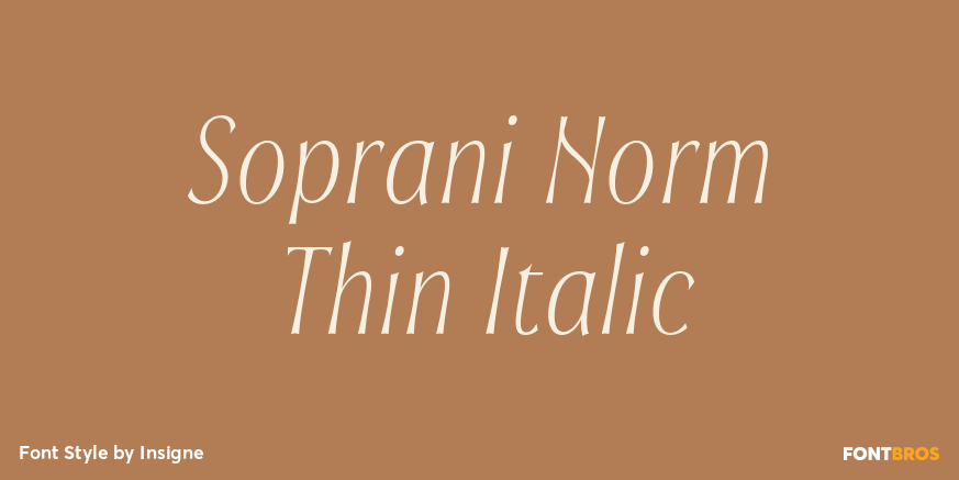 Soprani Norm Thin Italic Poster