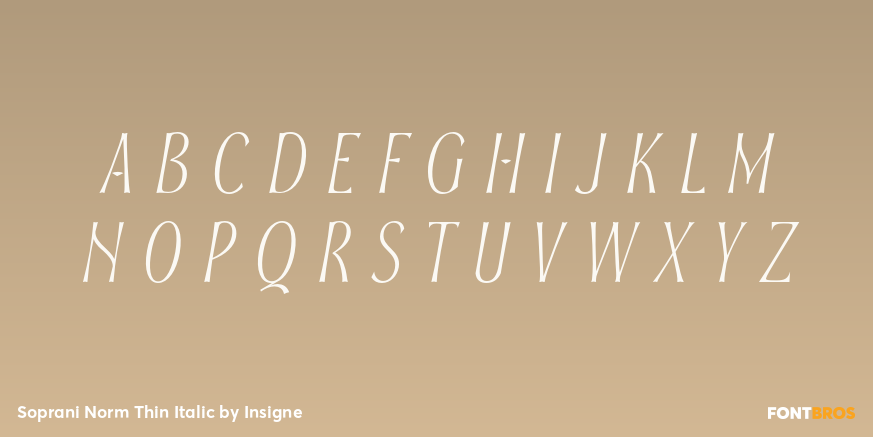 Soprani Norm Thin Italic Font Poster #1