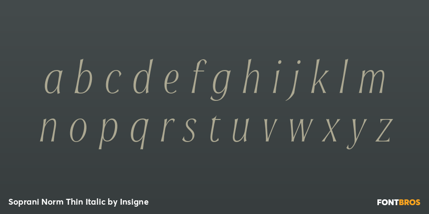 Soprani Norm Thin Italic Font Poster #1