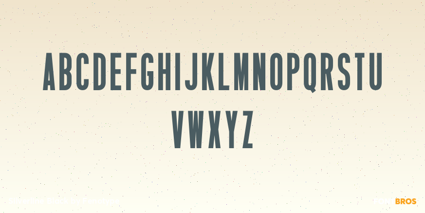 Silverline Black Font Poster #3