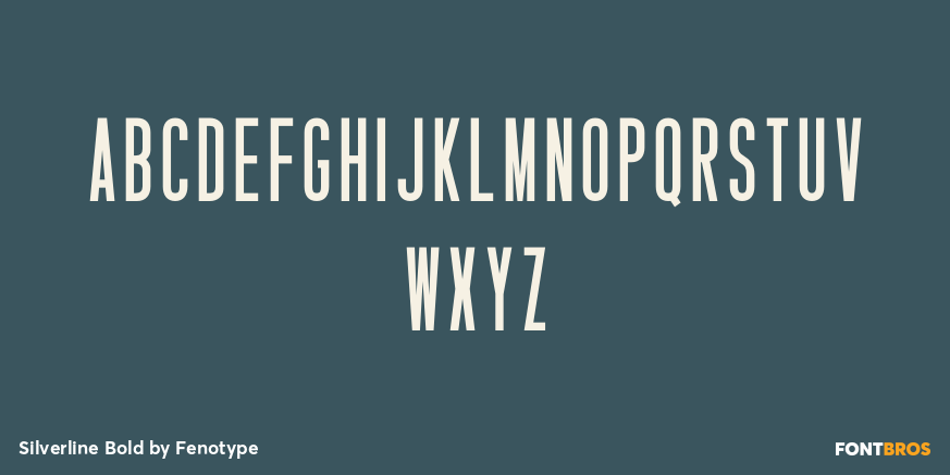 Silverline Bold Font Poster #1