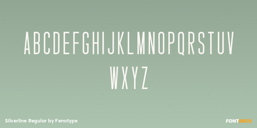 Silverline Regular Font Poster #2