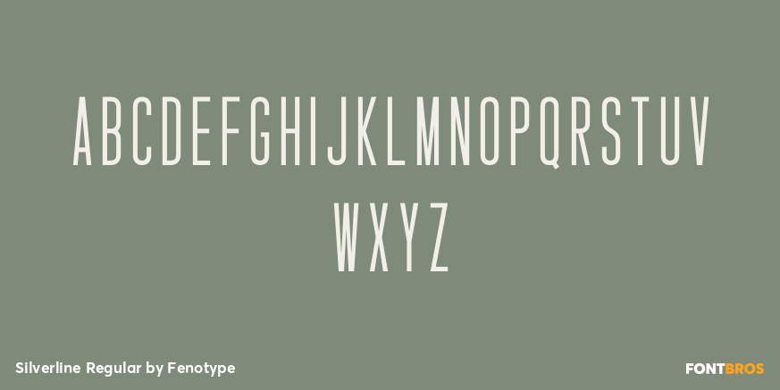 Silverline Regular Font Poster #3