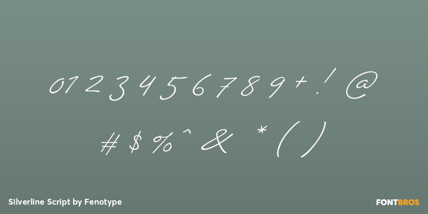 Silverline Script Font Poster #4