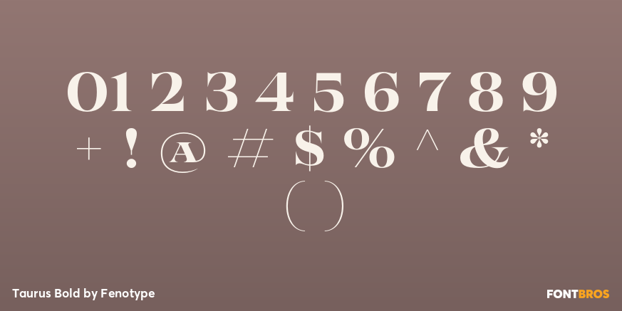 Taurus Bold Font Poster #4