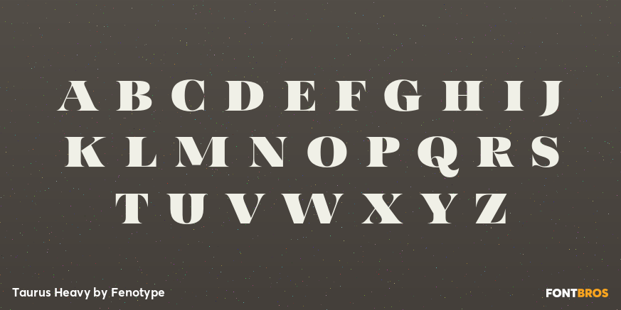 Taurus Heavy Font Poster #3