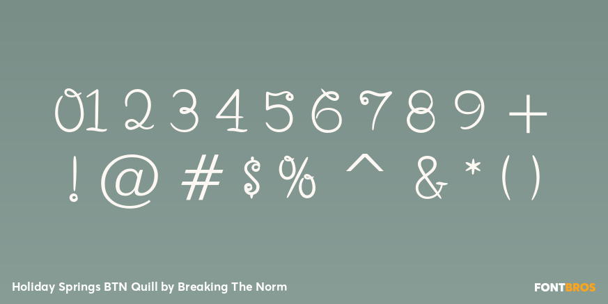 Holiday Springs BTN Quill Font Poster #4