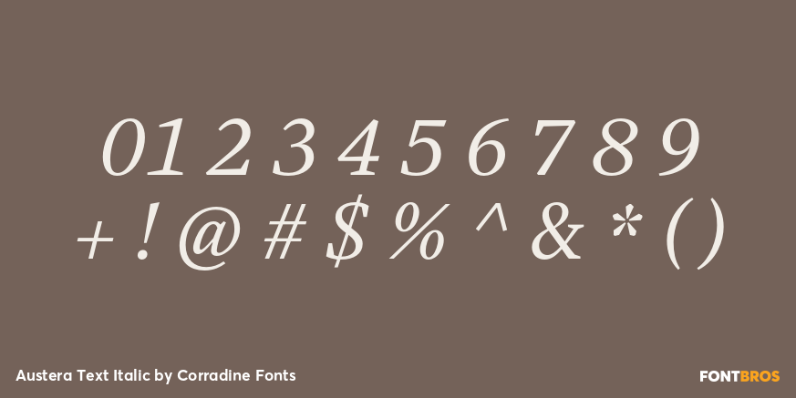 Austera Text Italic Font Poster #1
