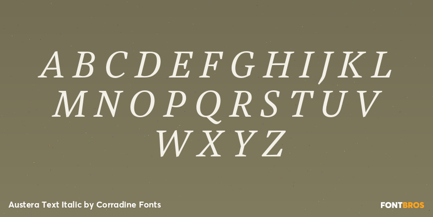 Austera Text Italic Font Poster #2