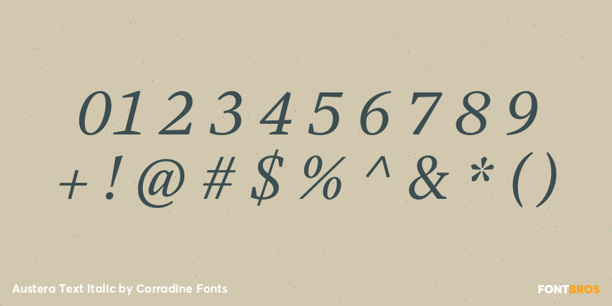 Austera Text Italic Font Poster #4