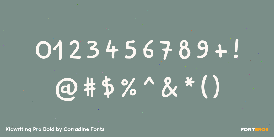 Kidwriting Pro Bold Font Poster #4