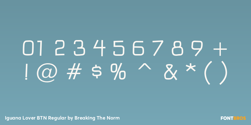 Iguana Lover BTN Regular Font Poster #4
