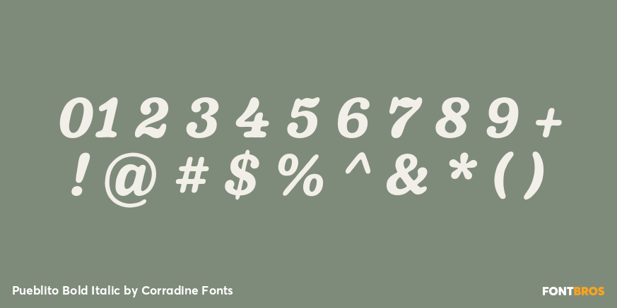 Pueblito Bold Italic Font Poster #4