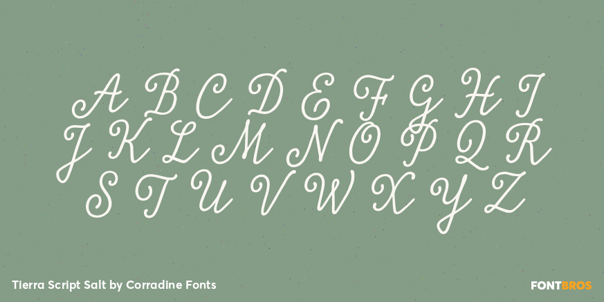 Tierra Script Salt Font Poster #2