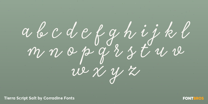 Tierra Script Salt Font Poster #3