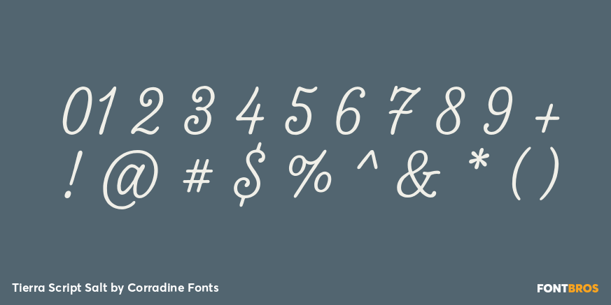 Tierra Script Salt Font Poster #4