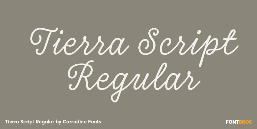 Tierra Script Regular Font Poster #1
