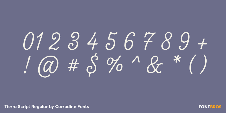 Tierra Script Regular Font Poster #4
