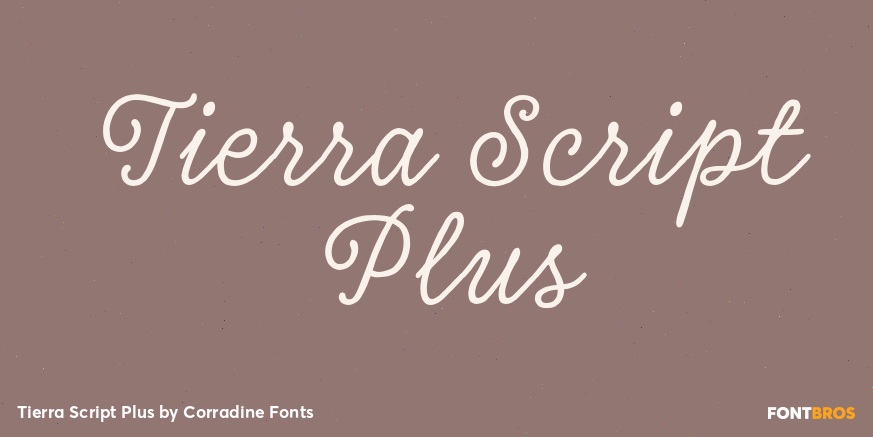 Tierra Script Plus Font Poster #1