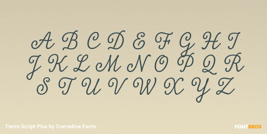 Tierra Script Plus Font Poster #2