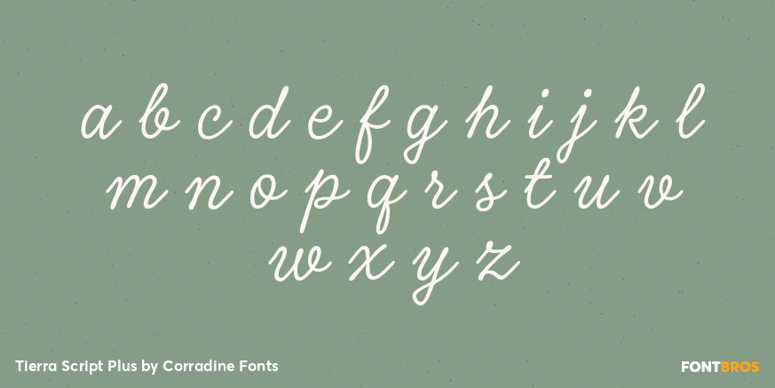 Tierra Script Plus Font Poster #3