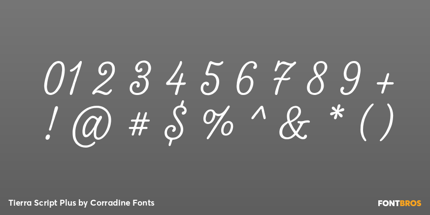 Tierra Script Plus Font Poster #4