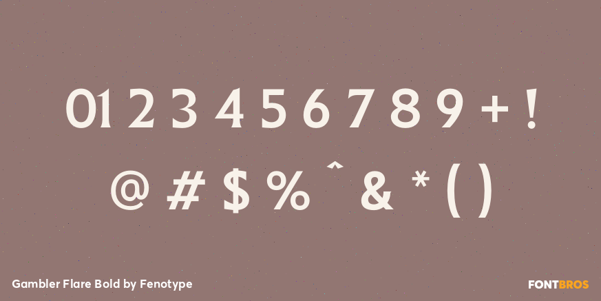 Gambler Flare Bold Font Poster #4