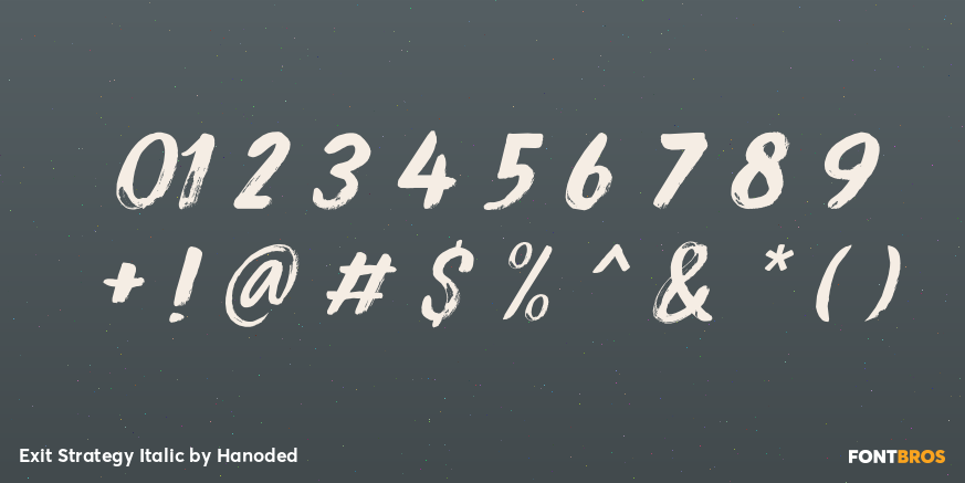 Exit Strategy Italic Font Poster #4