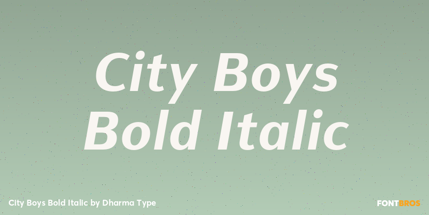 City Boys Bold Italic Font Poster #1