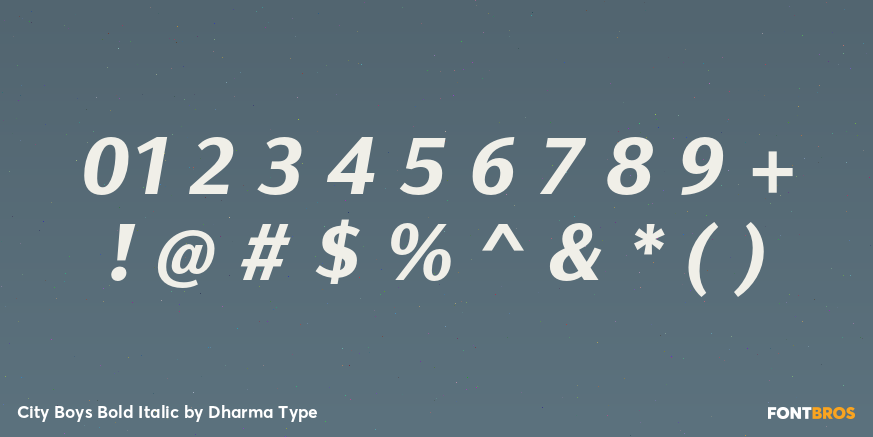 City Boys Bold Italic Font Poster #4