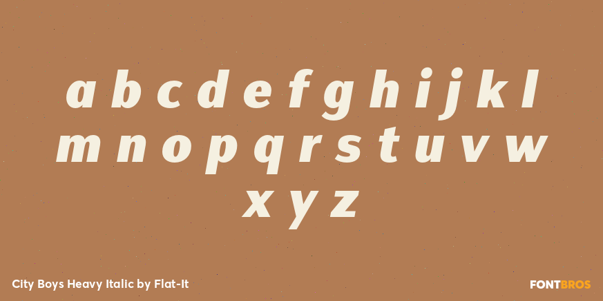 City Boys Heavy Italic Font Poster #3