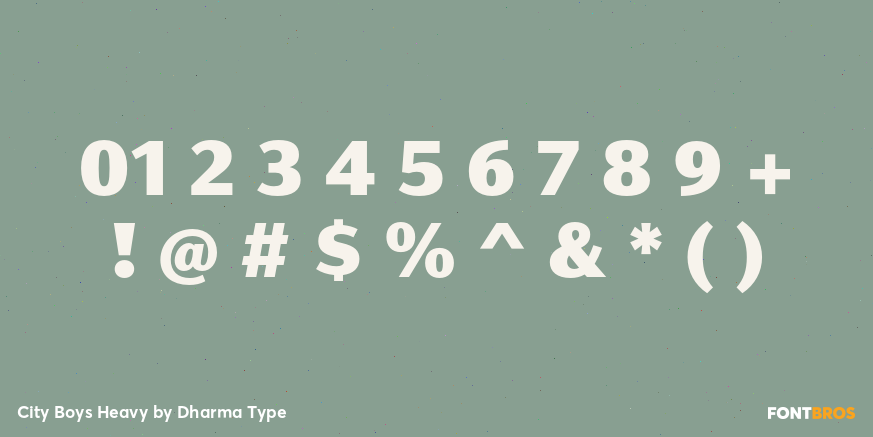 City Boys Heavy Font Poster #4