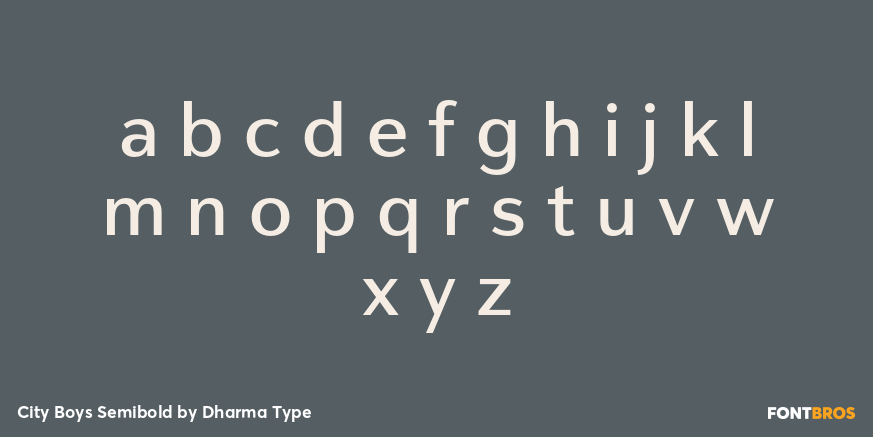 City Boys Semibold Font Poster #3