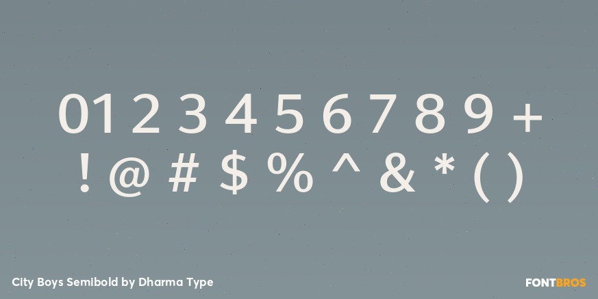 City Boys Semibold Font Poster #4