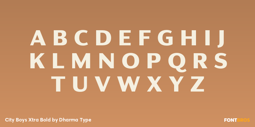 City Boys Xtra Bold Font Poster #2