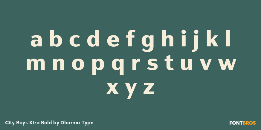 City Boys Xtra Bold Font Poster #3