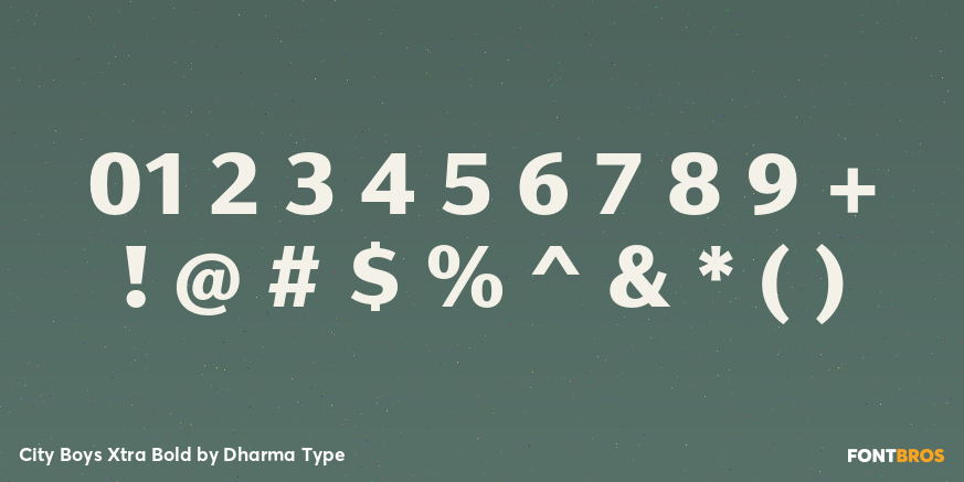 City Boys Xtra Bold Font Poster #4