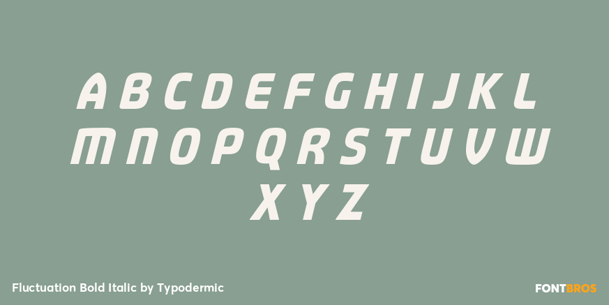 Fluctuation Bold Italic Font Poster #1