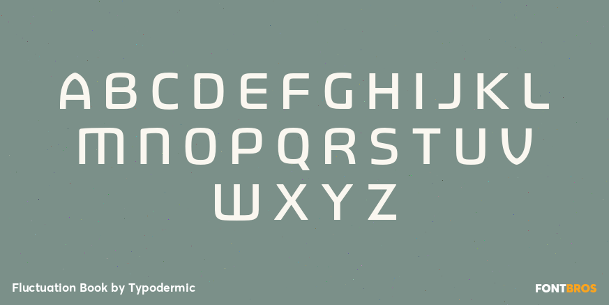 Fluctuation Book Font Poster #1