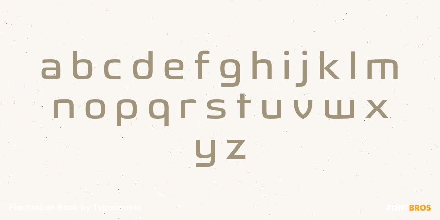 Fluctuation Book Font Poster #1