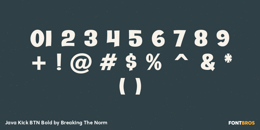 Java Kick BTN Bold Font Poster #4