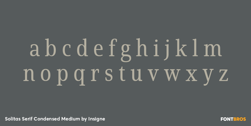 Solitas Serif Condensed Medium Font Poster #3